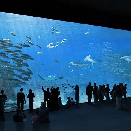 L Osmose Sauna Hammam A 4* Wimereux